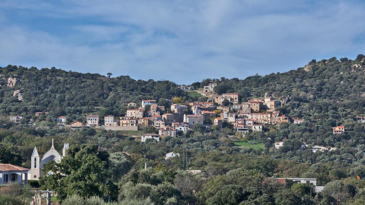Locations Calenzana Daire Dış mekan fotoğraf