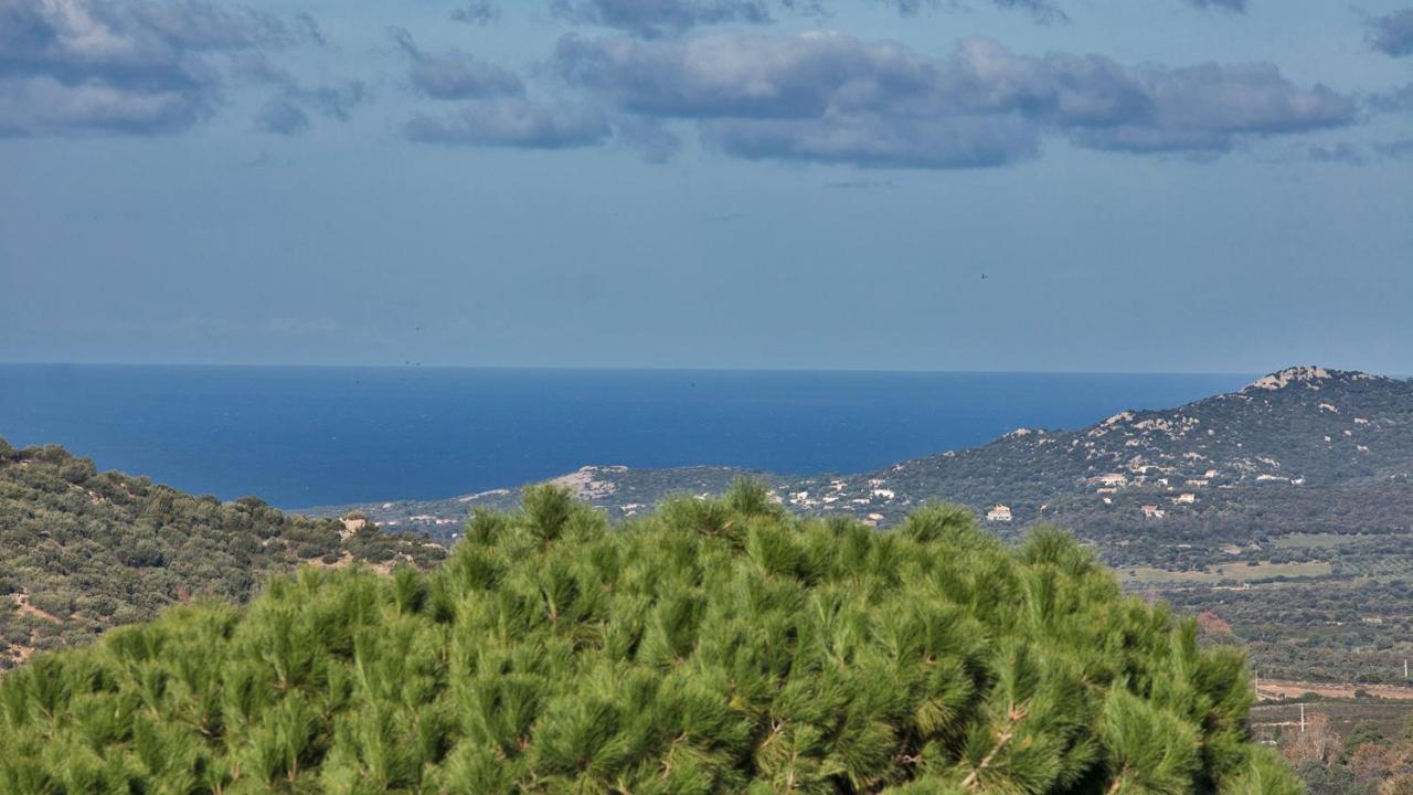 Locations Calenzana Daire Dış mekan fotoğraf