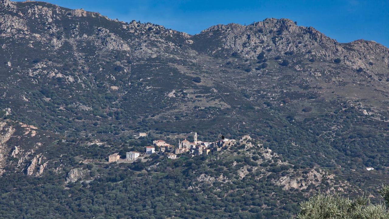 Locations Calenzana Daire Dış mekan fotoğraf
